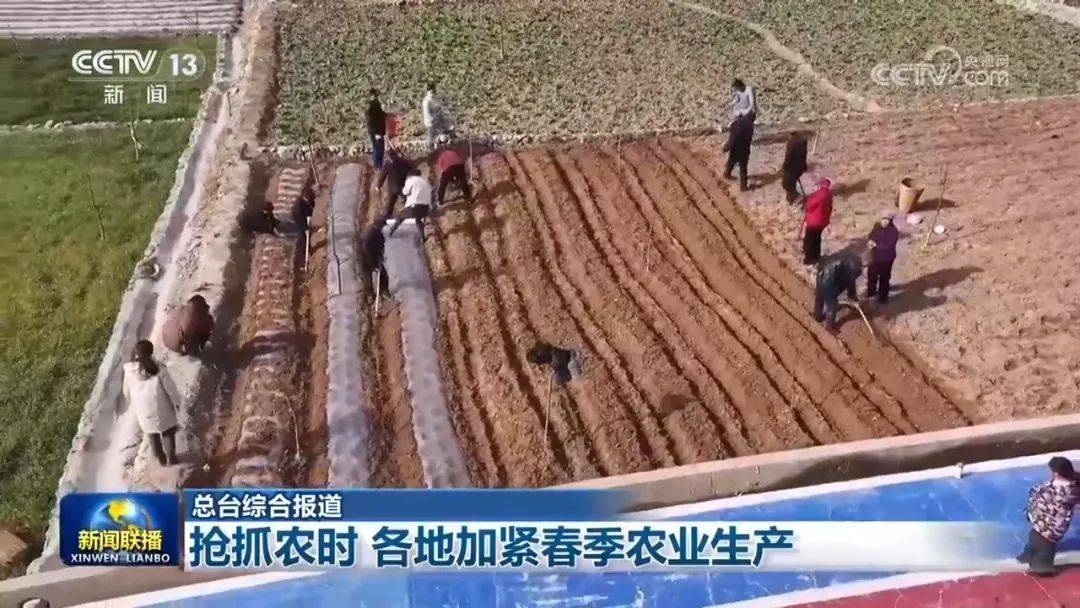 【新闻资讯】节后报道