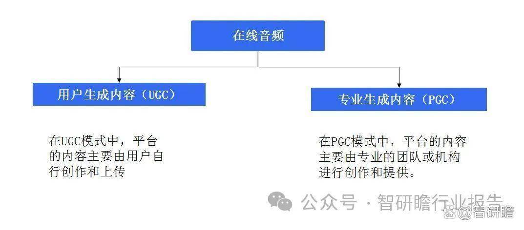 中国在线音频行业深度调研及投资前景预测报告