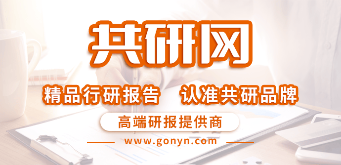 2025-2031年中国在线医疗市场深度调查与投资可行性报告