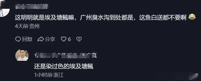 360元/条！贵州大爷木棍吊卖“鲶鱼”引争议，围观网友：这是塘鲺
