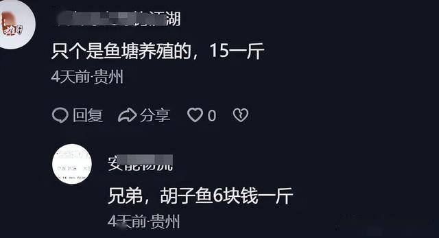360元/条！贵州大爷木棍吊卖“鲶鱼”引争议，围观网友：这是塘鲺