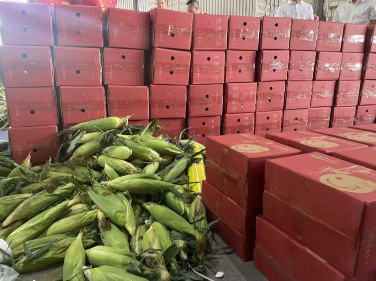 资讯|“甜美中国·健康万家”产地溯源活动在芒市启动