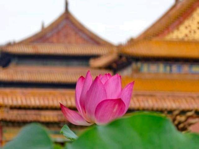 北京号最精彩 | 廊柱彩绘亮相！京张铁路遗址公园再上新